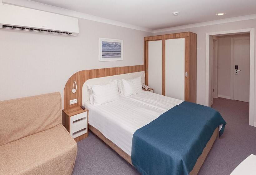 스탠다드 룸, Alean Family Resort & Spa Sputnik