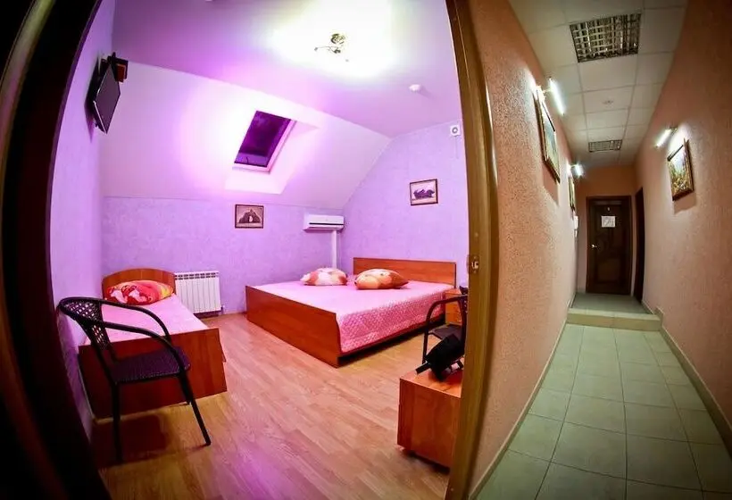اتاق استاندارد سه نفره, Medvedeff Center