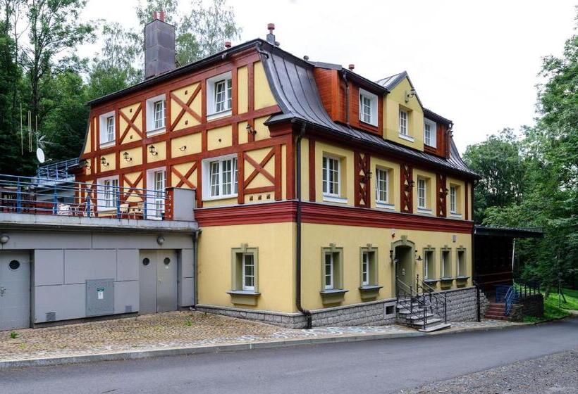 高级大房间, Spa Resort Libverda   Hotel Lesní Zátiší