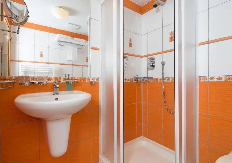 スーペリアールーム, Spa Resort Libverda   Hotel Lesní Zátiší