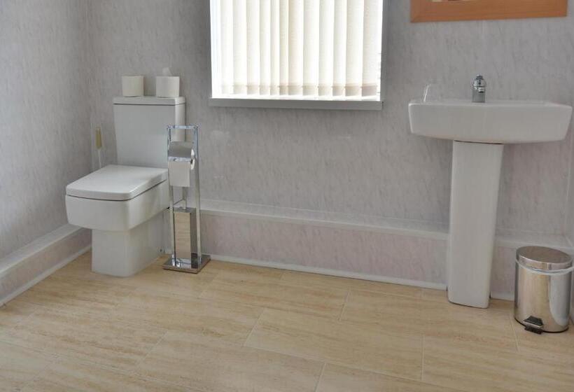 Camera Standard, Stuart