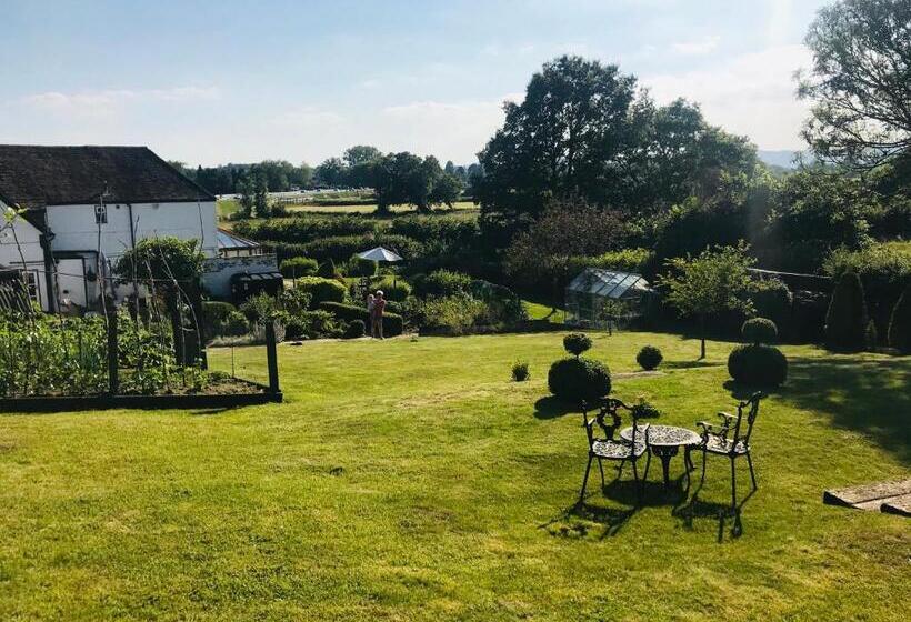 キングサイズベッドのスタンダードルーム, The Rag House