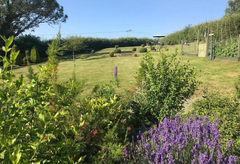 キングサイズベッドのスタンダードルーム, The Rag House