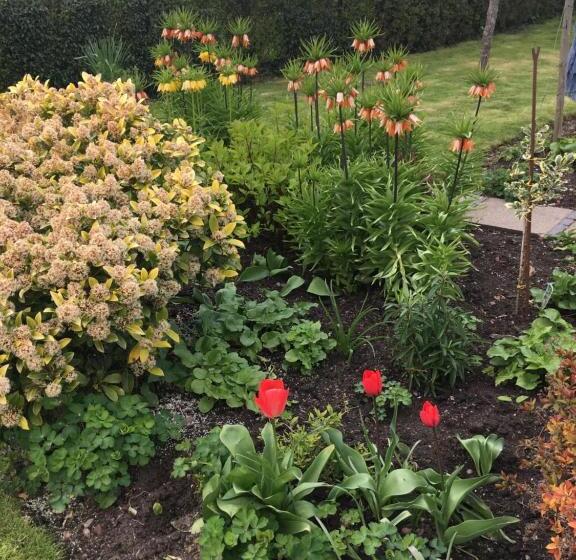 バスルーム共有のシングルスタンダード, The Rag House