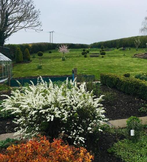 バスルーム共有のシングルスタンダード, The Rag House