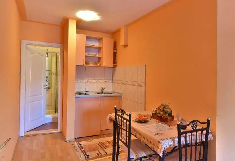 استودیوی لوکس, Vila Sofija Zlatibor