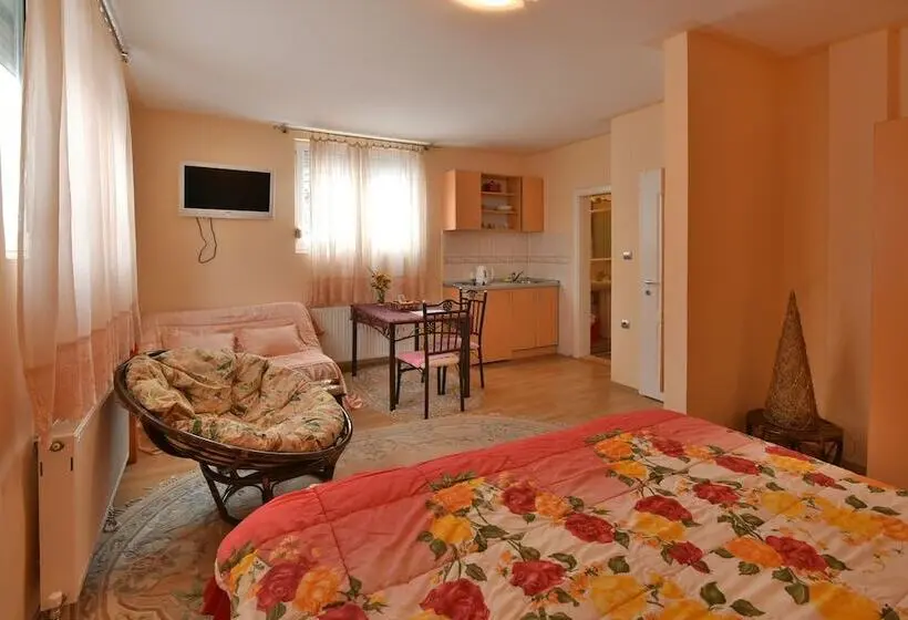استودیوی لوکس, Vila Sofija Zlatibor