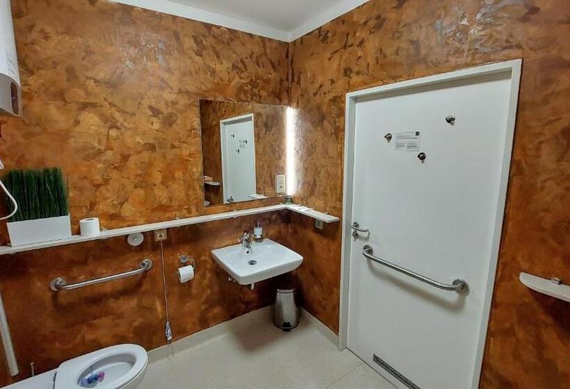 اتاق استاندارد با تخت بزرگ برای معلولان, Smarthotel Nezvalova Archa