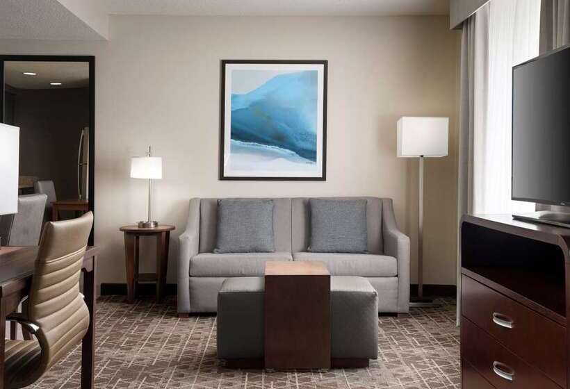 סטודיו פרמיום, Home2 Suites By Hilton Mckinney