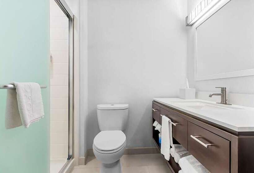Студия Премиум, Home2 Suites By Hilton Mckinney