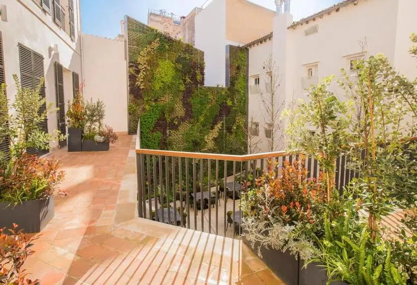 Habitació Estàndard amb Terrassa, Icon Rosetó