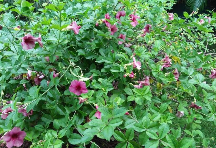 패밀리 룸, Yala River Face Inn