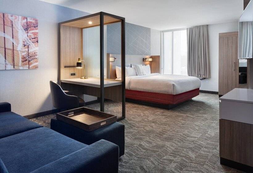 جناح, Springhill Suites By Marriott Orlando At Millenia