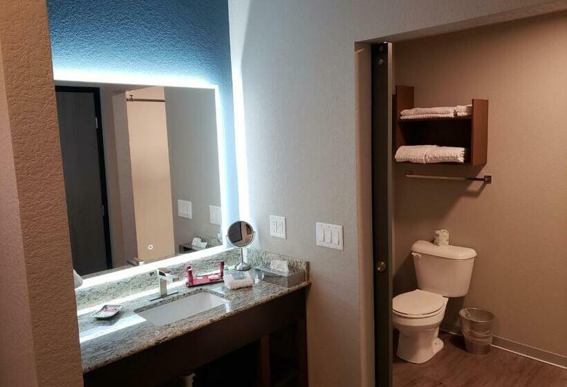 Номер Стандарт, Best Western Premier Ankeny