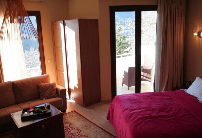 Полулюкс с Видом, Forest Suites Boutique