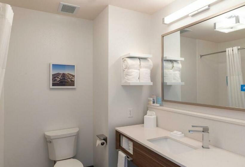 标准间, Hampton Inn & Suites Xenia Dayton