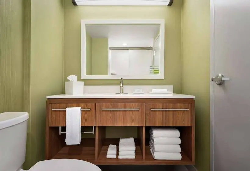 身障者適用スイートルーム, Home2 Suites By Hilton Woodbridge Potomac Mills