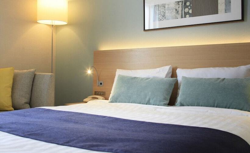 غرفة ديلوكس, Shonandai Daiichi Hotel Fujisawa Yokohama