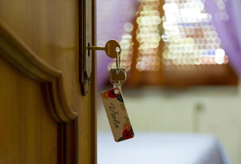 标准间, B&b Anxur