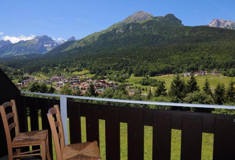 דירת חדר, Residence Viola