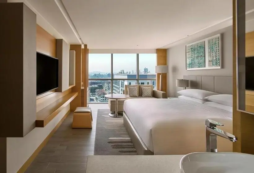 Deluxe Room King Bed & City View