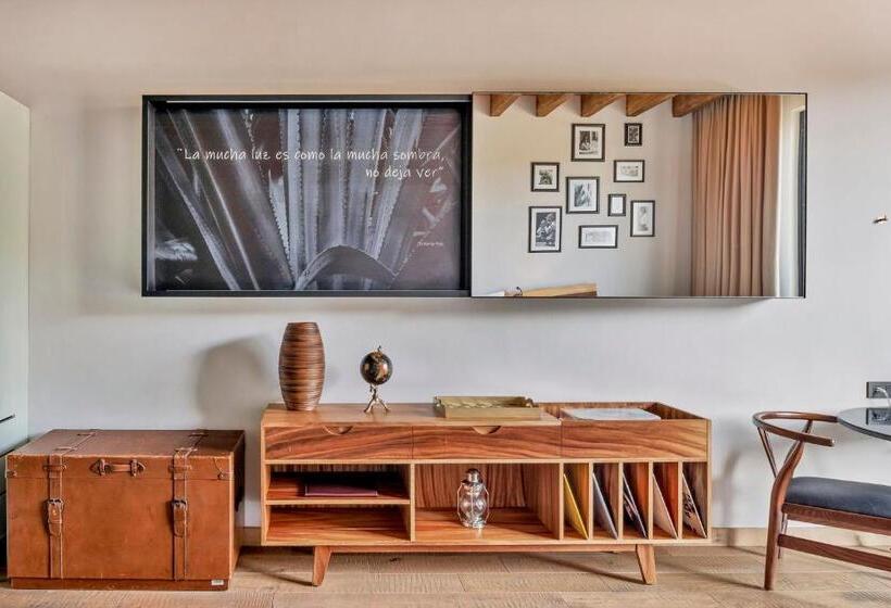 디럭스 룸 가든 전망, Live Aqua San Miguel De Allende