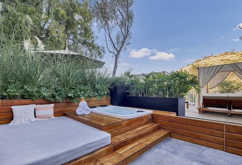 스위트, Live Aqua San Miguel De Allende