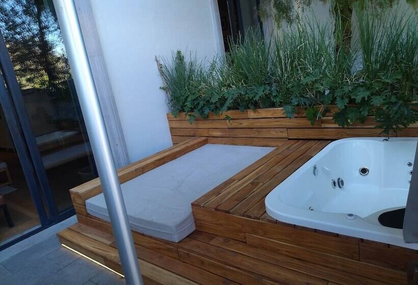 스위트, Live Aqua San Miguel De Allende