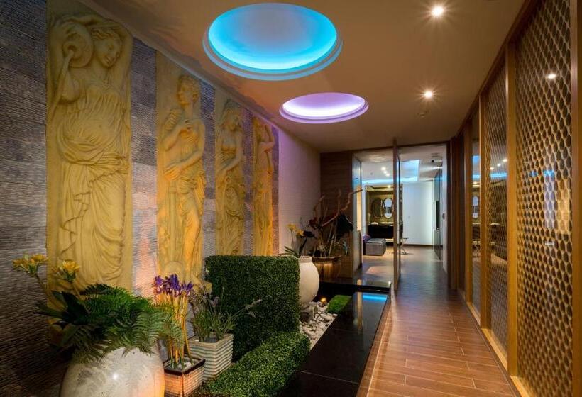 اتاق سوپریور, Belle Song Motel