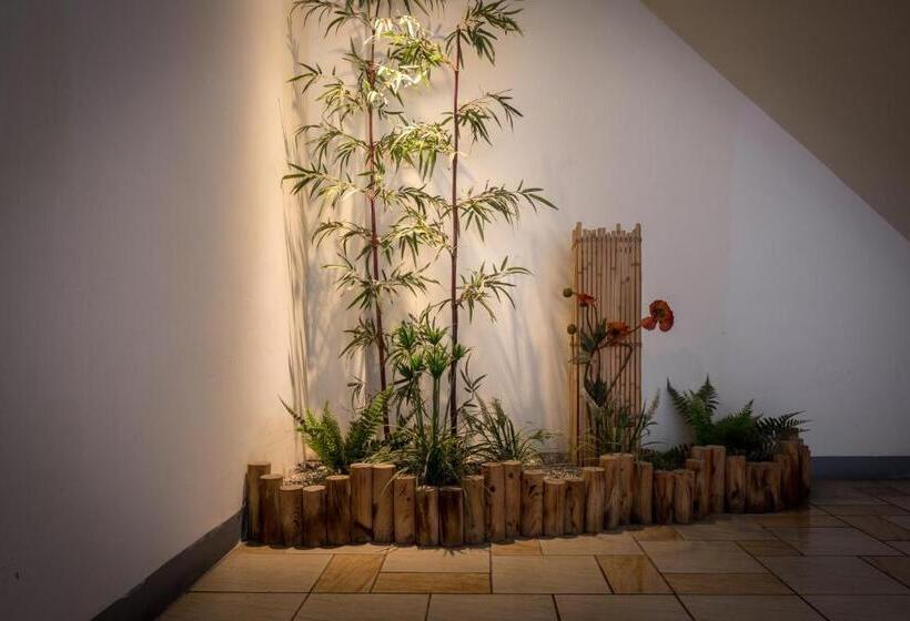 اتاق سوپریور, Belle Song Motel