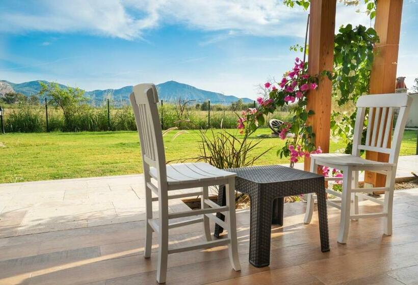 스탠다드 룸, Dalyan Live Spa