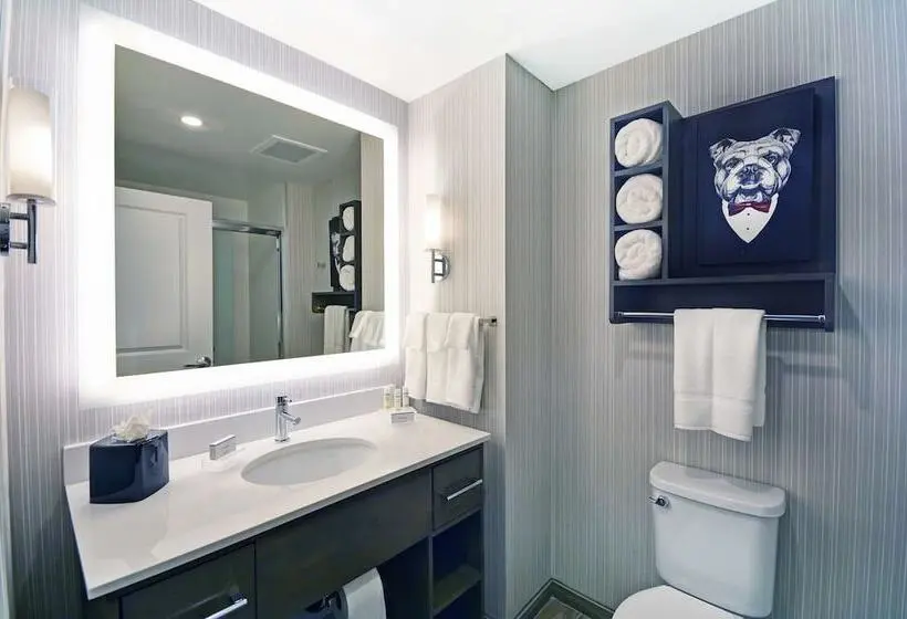 سوئیت 2 خوابه, Homewood Suites By Hilton Athens Downtown University Area
