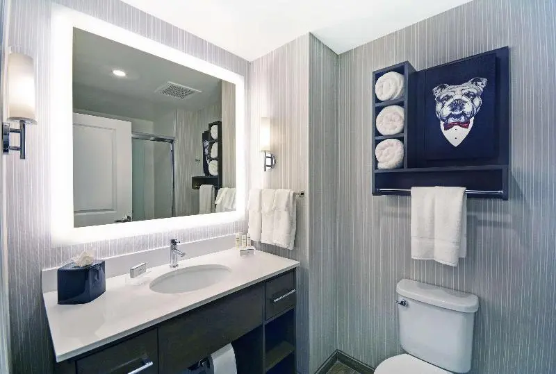 سوئیت پریمیوم, Homewood Suites By Hilton Athens Downtown University Area