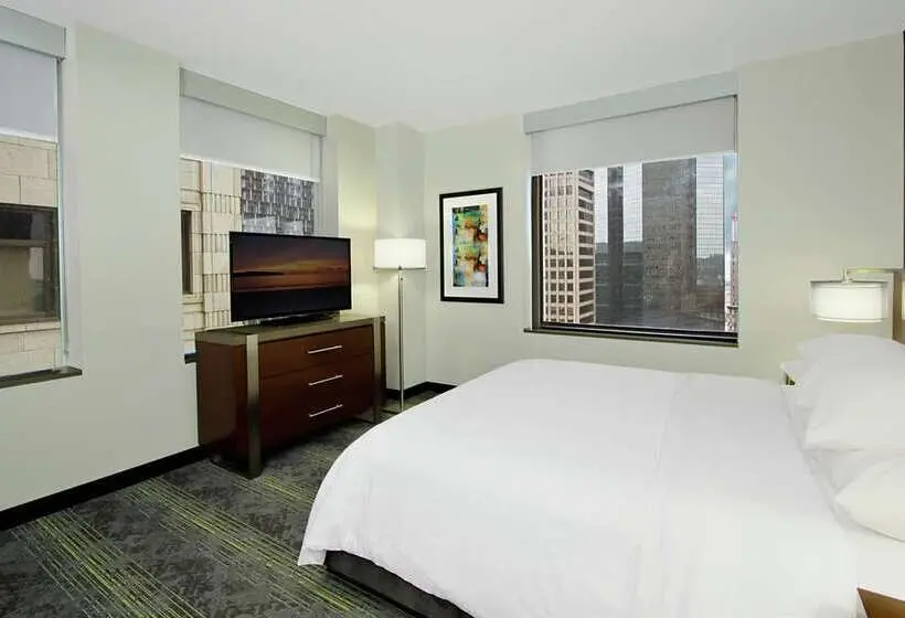 سوئیت با تخت بزرگ, Homewood Suites By Hilton Athens Downtown University Area
