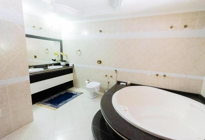 جناح ديلوكس, Naturalis