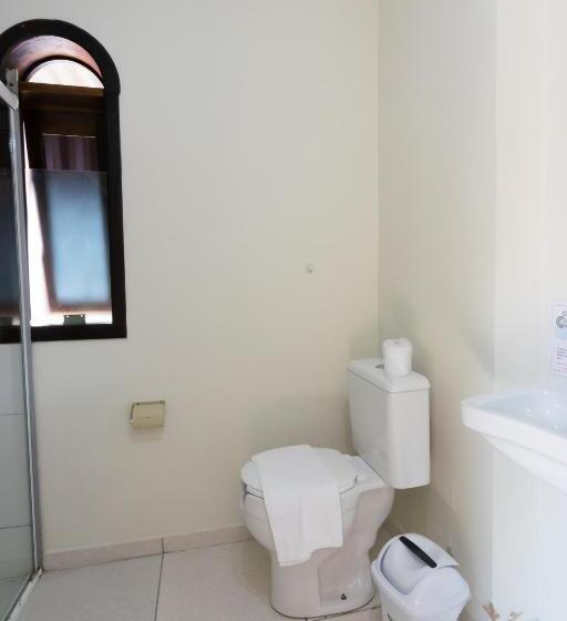 غرفة قياسية, Naturalis