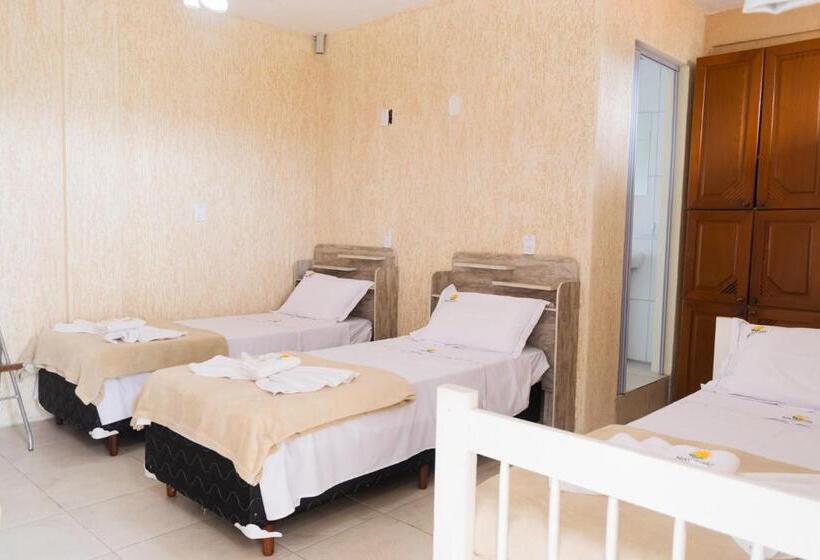 غرفة قياسية رباعية, Naturalis