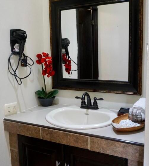 جناح ذو إطلالة, Vista Las Olas Resort