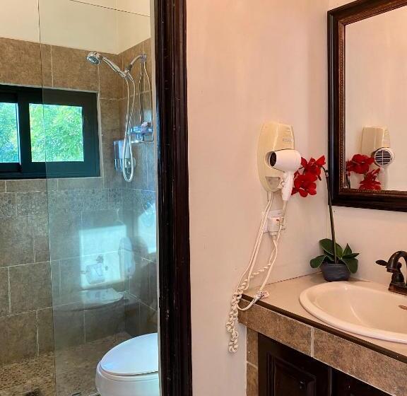 جناح ذو إطلالة, Vista Las Olas Resort