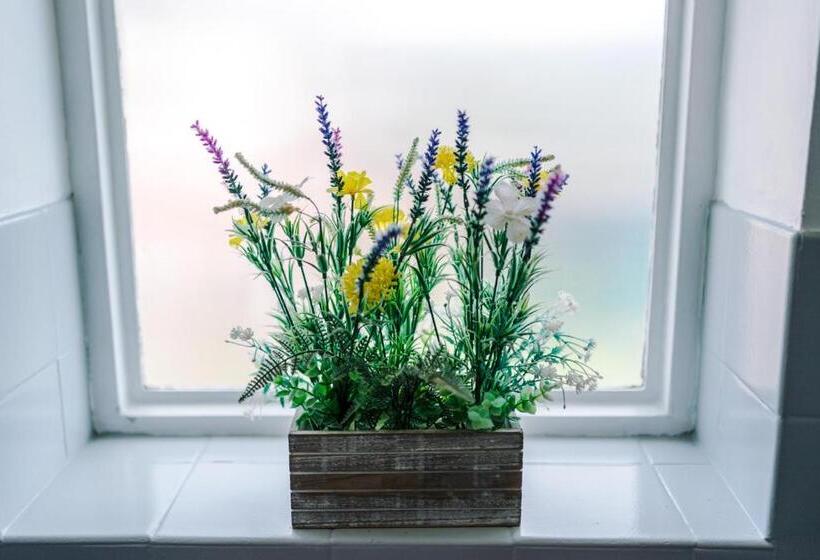 스탠다드 룸 공동 욕실, Holcombe Guest House