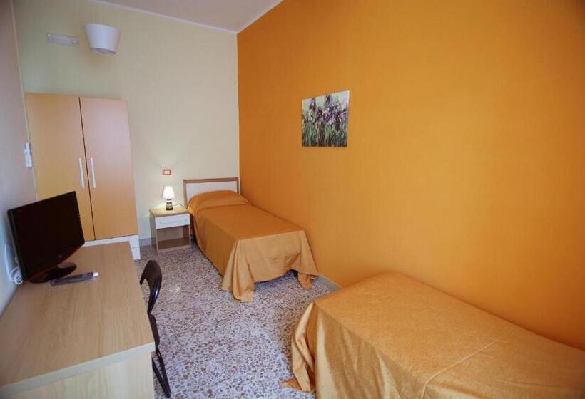 Camera Standard, Abacus