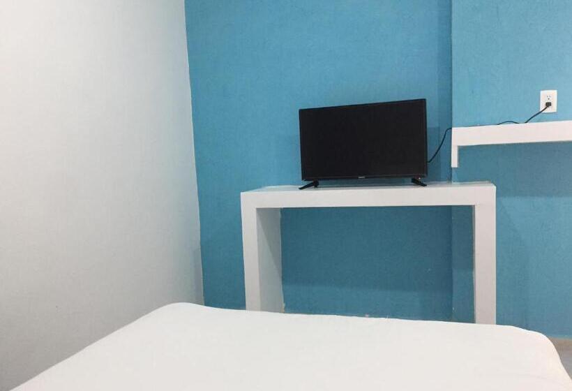 이코노미 룸, Awazul Bacalar