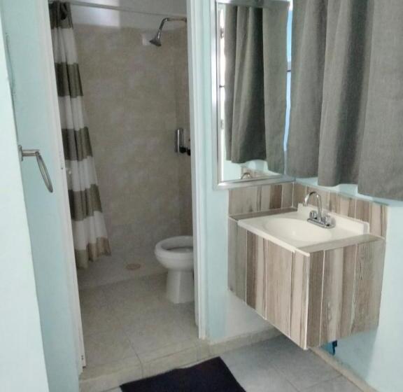 이코노미 룸, Awazul Bacalar