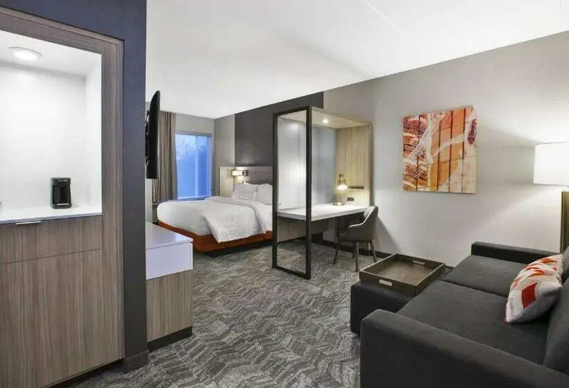 キングサイドベッドのスタンダードワンルーム, Springhill Suites By Marriott Chattanooga North/ooltewah