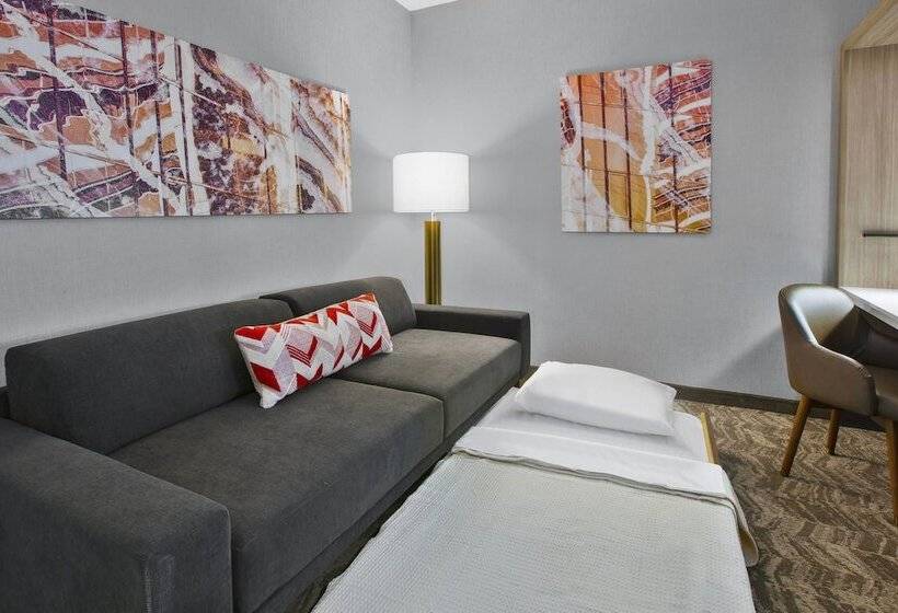 Студия Стандарт, Springhill Suites By Marriott Chattanooga North/ooltewah