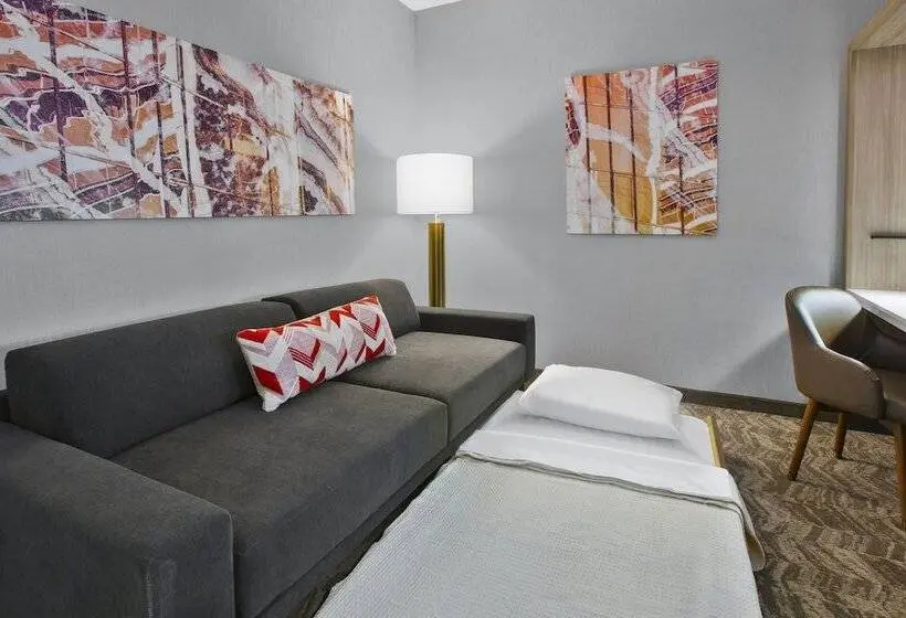 スタンダードスタジオ, Springhill Suites By Marriott Chattanooga North/ooltewah