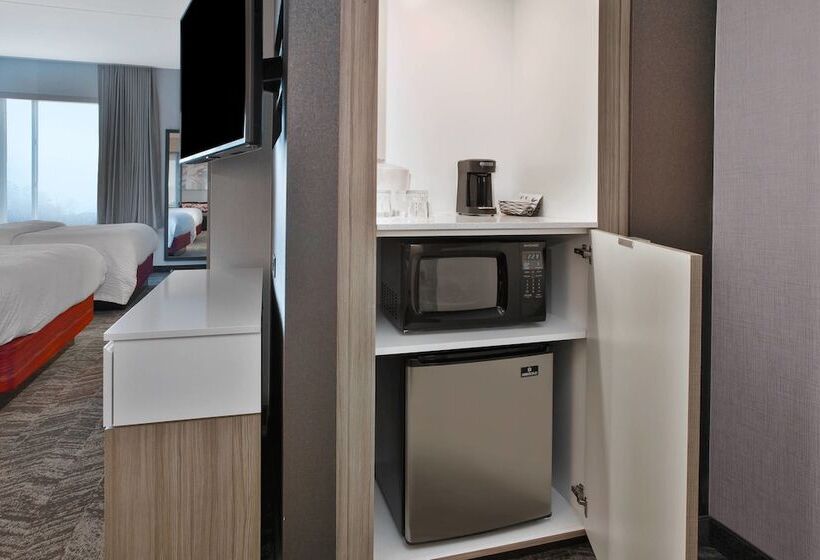 스탠다드 스튜디오, Springhill Suites By Marriott Chattanooga North/ooltewah