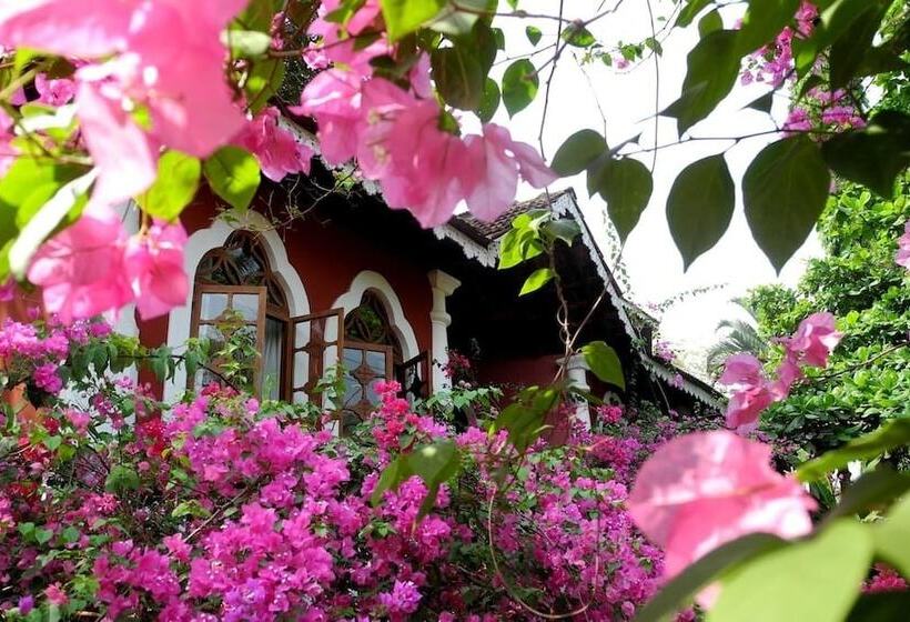 Номер Стандарт, Marbella Guest House