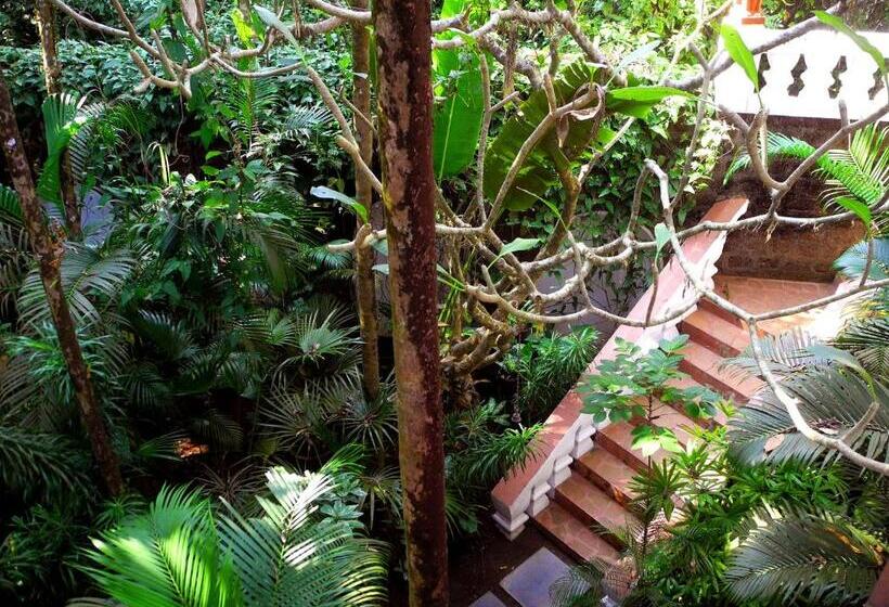 Quarto Estandar Vista Jardim, Marbella Guest House