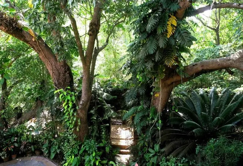 Chambre Standard Vue Jardin, Marbella Guest House